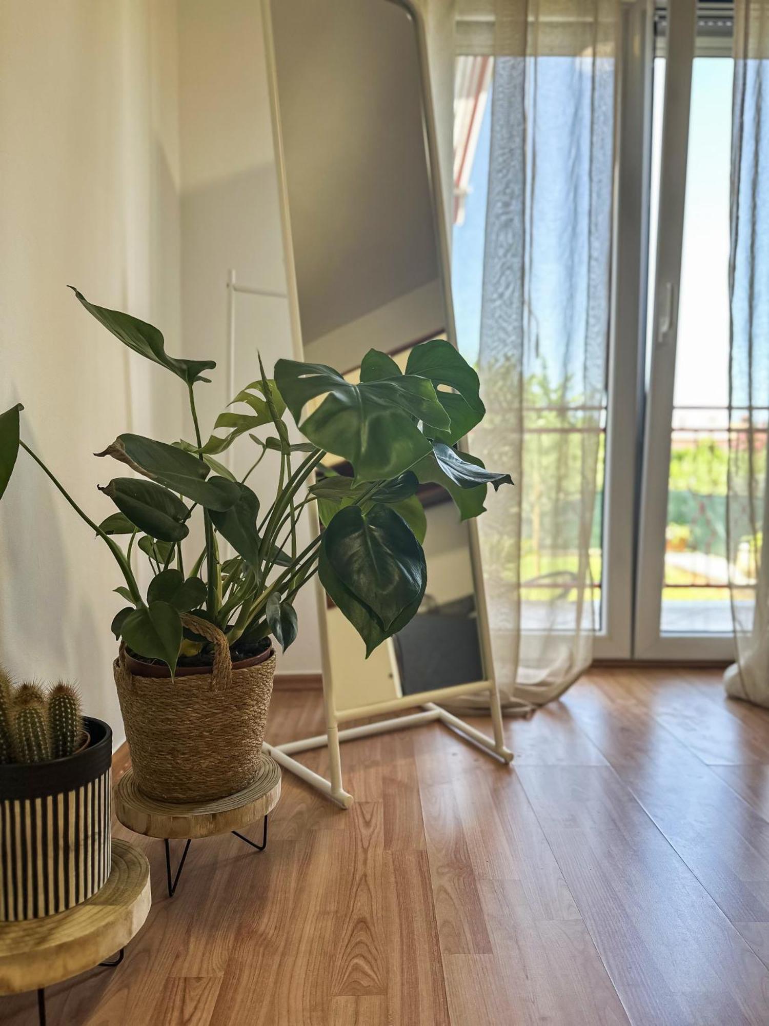 אומאג Apartments Dent מראה חיצוני תמונה